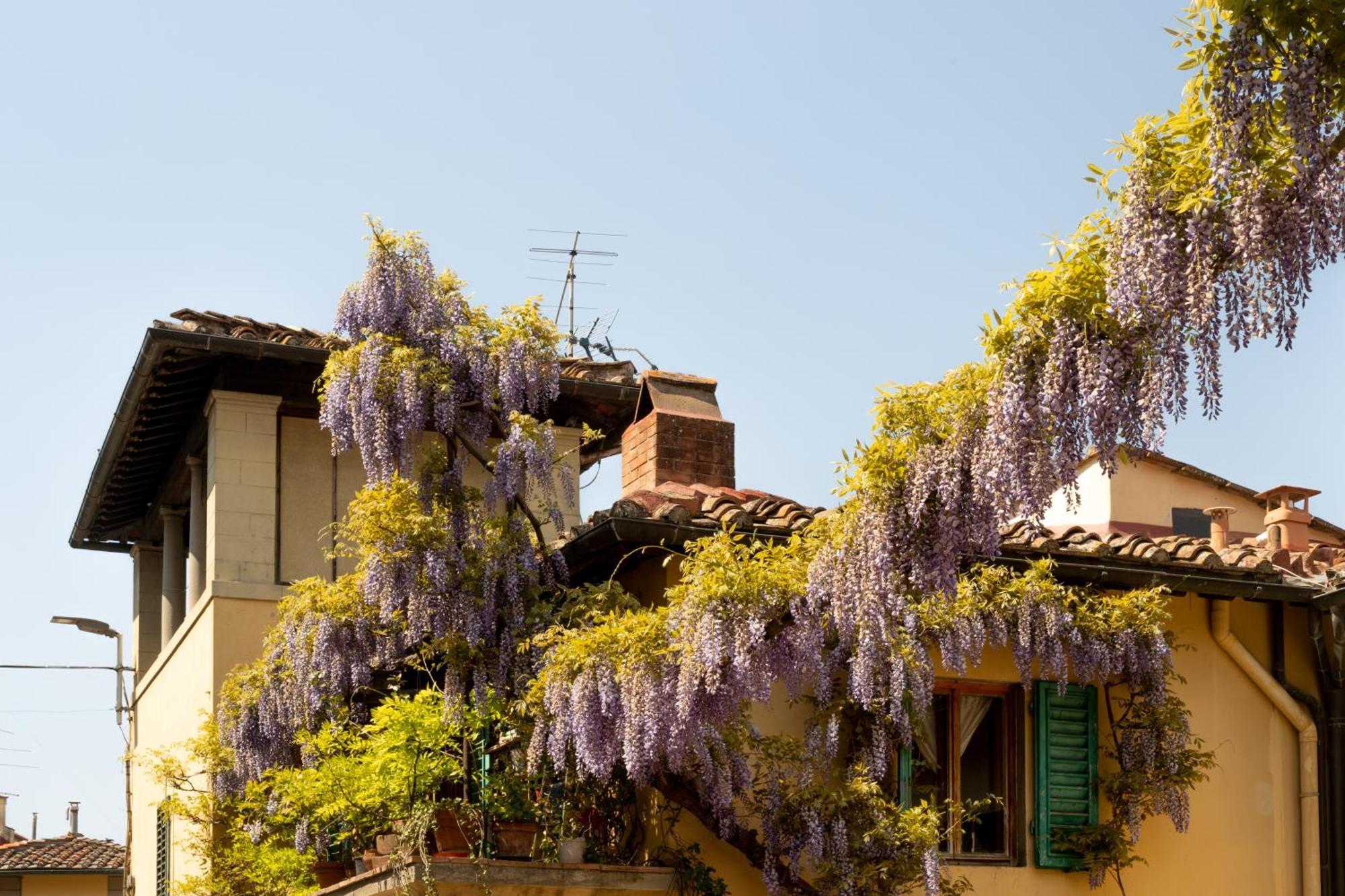 B&B Le Cannelle Fiesole Eksteriør billede